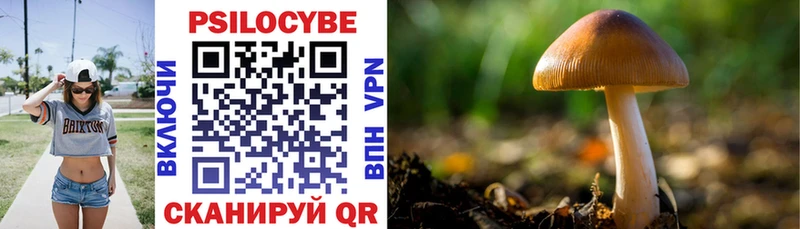 Галлюциногенные грибы мухоморы  Купить закладки  Гусев 